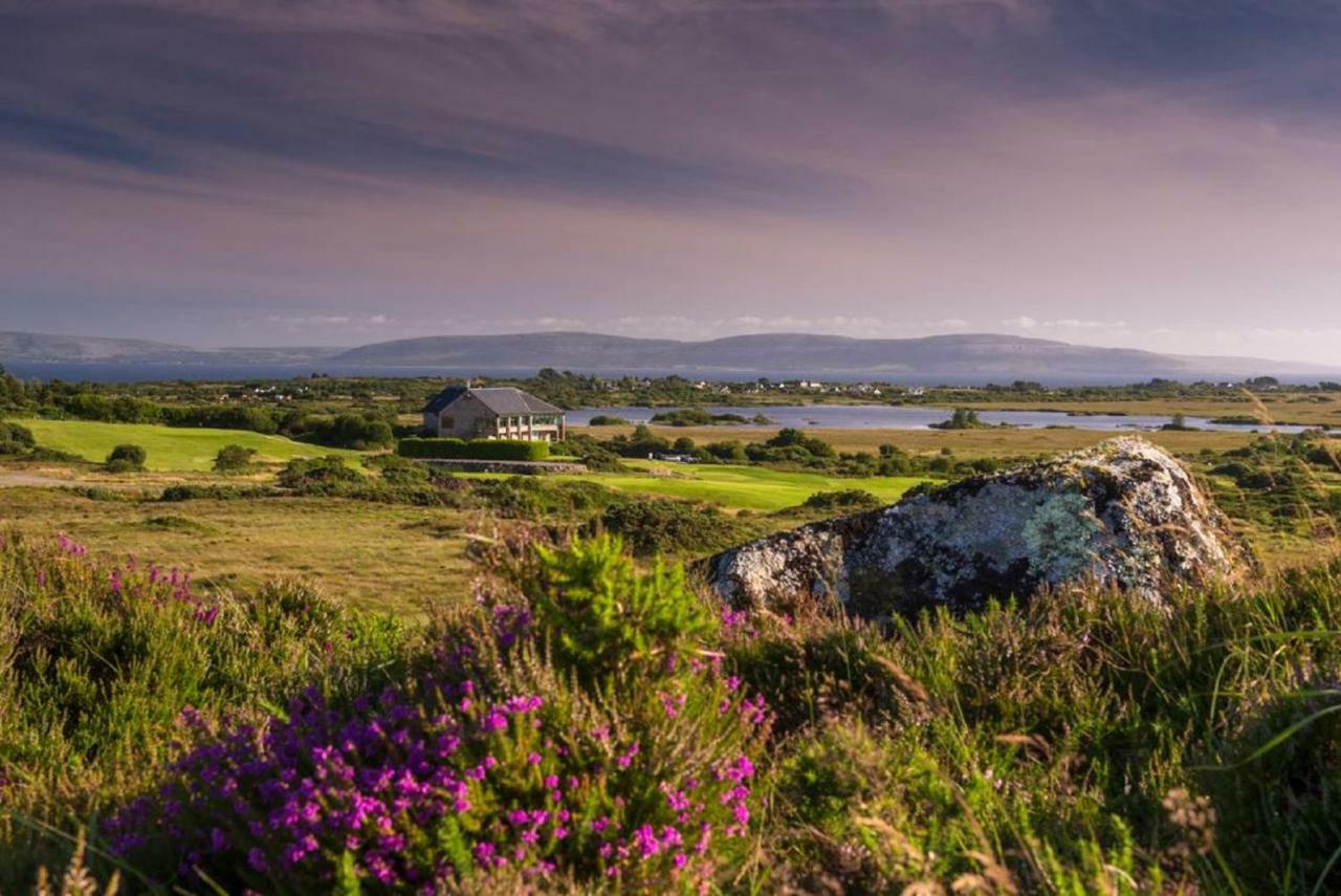 Frank'S Villa Galway Exterior foto